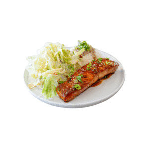 GRILLED SALMON WITH TERIYAKI SAUCE Big plate